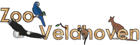 ZOO Veldhoven